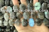 CNG7887 13*18mm - 15*25mm faceted freeform labradorite beads