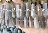 CNG7934 15.5 inches 10*22mm - 12*45mm faceted nuggets moonstone beads