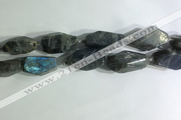 CNG7964 15.5 inches 15*25mm - 20*40mm nuggets labradorite beads