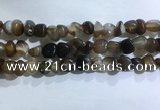 CNG8106 15.5 inches 6*8mm - 10*12mm agate gemstone chips beads