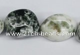 CNG83 15.5 inches 15*20mm - 20*35mm nuggets tree agate beads