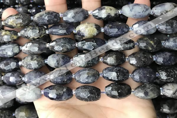 CNG8521 15.5 inches 10*16mm - 11*20mm faceted nuggets iolite beads