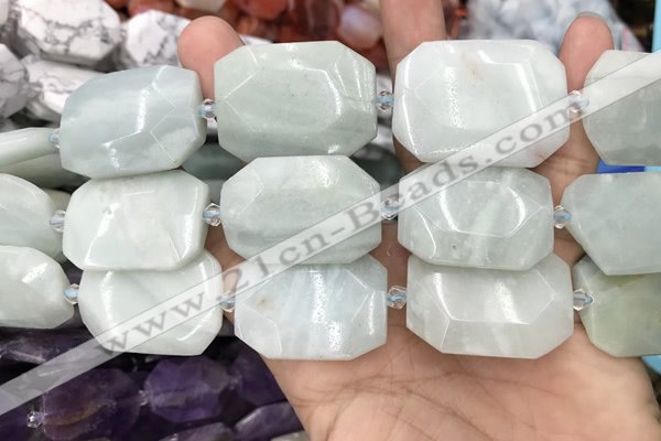 CNG8555 22*30mm - 25*35mm faceted freeform amazonite beads