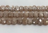 CNG8616 10*13mm - 12*16mm faceted freeform moonstone beads