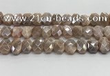 CNG8617 10*13mm - 12*16mm faceted freeform AB-color moonstone beads