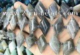 CNG8646 13*20mm - 15*25mm faceted freeform labradorite beads