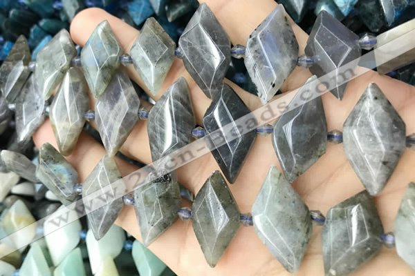 CNG8646 13*20mm - 15*25mm faceted freeform labradorite beads