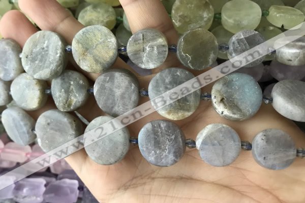 CNG8657 15.5 inches 10mm - 20mm freeform labradorite beads