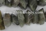 CNG867 15.5 inches 8*15mm – 13*24mm faceted nuggets labradorite beads