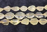 CNG8685 16*23mm - 25*30mm faceted freeform lemon quartz beads