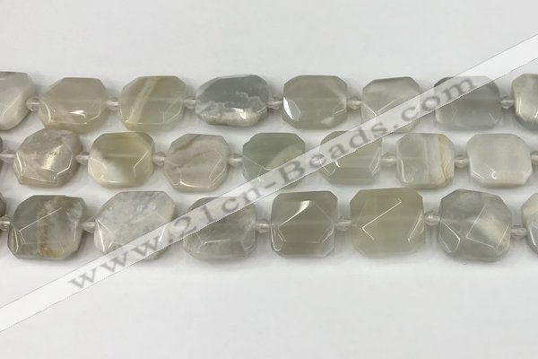 CNG8808 15.5 inches 16mm - 20mm faceted freeform moonstone beads