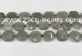 CNG8809 15.5 inches 16mm - 20mm faceted freeform moonstone beads