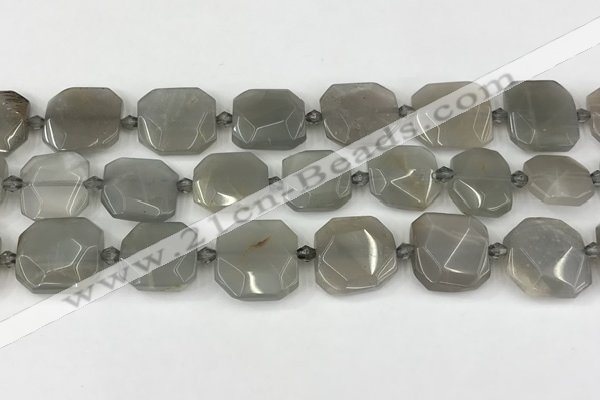 CNG8809 15.5 inches 16mm - 20mm faceted freeform moonstone beads