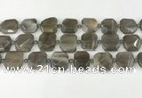 CNG8810 15.5 inches 16mm - 20mm faceted freeform moonstone beads