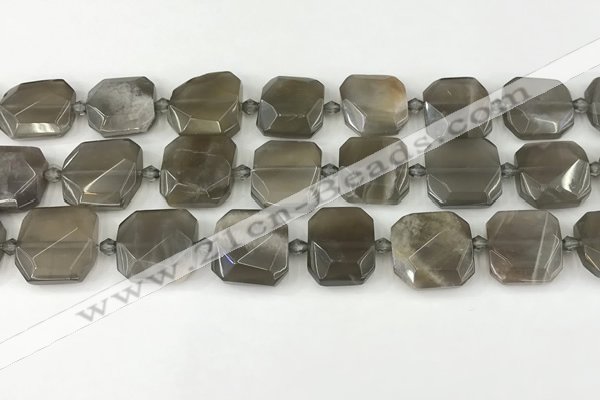 CNG8810 15.5 inches 16mm - 20mm faceted freeform moonstone beads