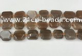 CNG8811 15.5 inches 16mm - 20mm faceted freeform moonstone beads