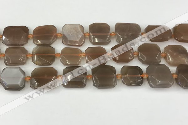 CNG8811 15.5 inches 16mm - 20mm faceted freeform moonstone beads