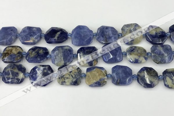 CNG8819 15.5 inches 16mm - 20mm faceted freeform sodalite beads