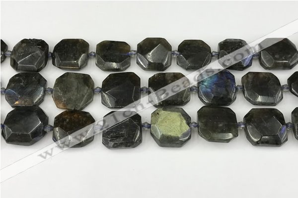 CNG8824 15.5 inches 16mm - 20mm faceted freeform labradorite beads