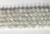 CNG9052 15.5 inches 10mm faceted nuggets white moonstone gemstone beads