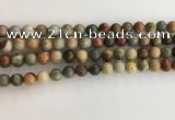 CNI370 15.5 inches 6mm round American picture jasper beads