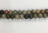 CNI373 15.5 inches 12mm round American picture jasper beads