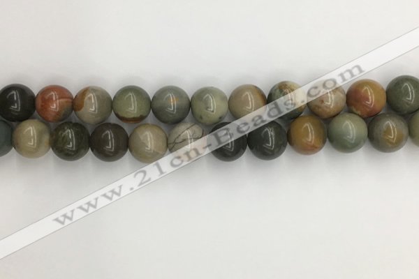 CNI373 15.5 inches 12mm round American picture jasper beads