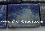 CNL1148 15.5 inches 27*37mm rectangle lapis lazuli gemstone beads