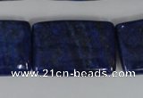 CNL537 15.5 inches 20*30mm rectangle natural lapis lazuli gemstone beads