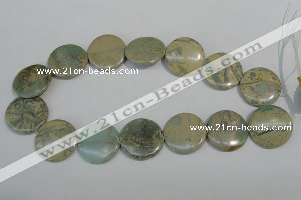 CNS235 15.5 inches 30mm flat round natural serpentine jasper beads