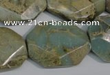 CNS263 15.5 inches 22*30mm octagonal natural serpentine jasper beads