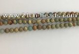 CNS701 15.5 inches 6mm round serpentine jasper beads wholesale