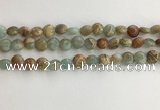 CNS718 15.5 inches 6mm flat round serpentine jasper beads wholesale