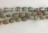 CNS724 15.5 inches 10*14mm oval serpentine jasper beads wholesale