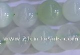 COP1624 15.5 inches 10mm round green opal gemstone beads