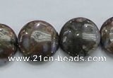 COP251 15.5 inches 20mm flat round natural grey opal gemstone beads