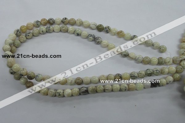 COP802 15.5 inches 8mm round natural African opal beads