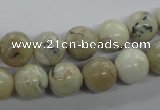 COP803 15.5 inches 10mm round natural African opal beads