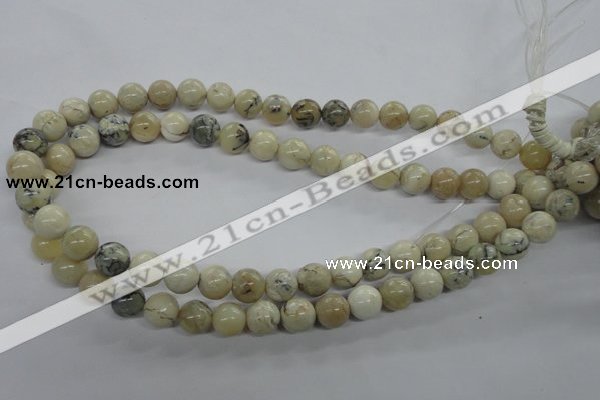 COP803 15.5 inches 10mm round natural African opal beads