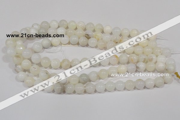 COP902 15.5 inches 10mm round natural white opal gemstone beads