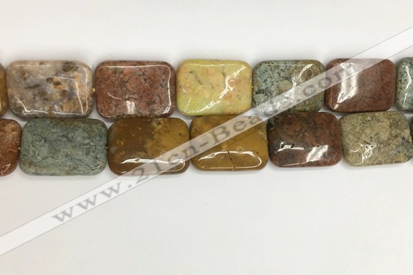 COS256 15.5 inches 22*30mm rectangle ocean stone beads wholesale