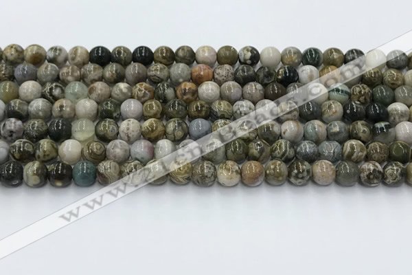 COS306 15.5 inches 6mm round ocean jasper beads wholesale