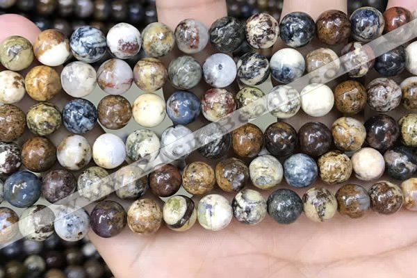 CPB1031 15.5 inches 8mm round pietersite beads wholesale