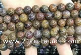 CPB1042 15.5 inches 10mm round pietersite gemstone beads