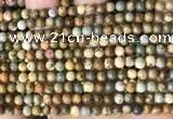 CPJ706 15.5 inches 4mm round rocky butte picture jasper beads