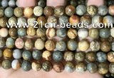 CPJ709 15.5 inches 10mm round rocky butte picture jasper beads