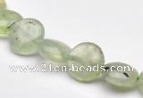 CPR07  A grade 10mm flat round natural prehnite gemstone beads