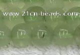 CPR400 15.5 inches 6mm round natural prehnite beads