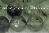 CPR407 15.5 inches 10mm faceted round prehnite beads wholesale