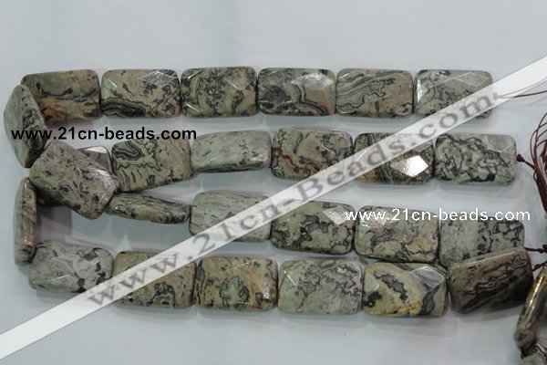 CPT131 15.5 inches 20*30mm faceted rectangle grey picture jasper beads